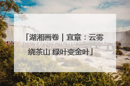 湖湘画卷｜宜章：云雾绕茶山 绿叶变金叶
