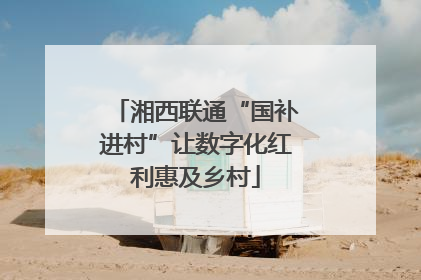 湘西联通“国补进村”让数字化红利惠及乡村