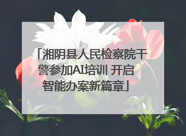 湘阴县人民检察院干警参加AI培训 开启智能办案新篇章