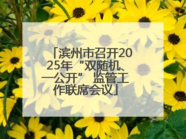 滨州市召开2025年“双随机、一公开” 监管工作联席会议
