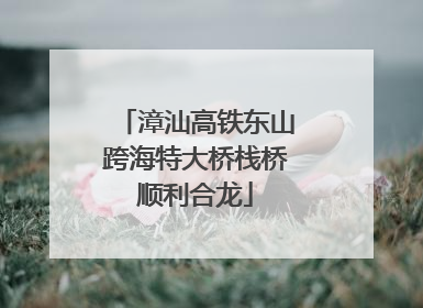漳汕高铁东山跨海特大桥栈桥顺利合龙