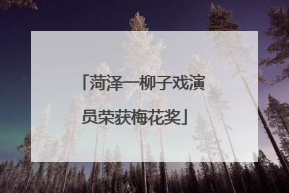 菏泽一柳子戏演员荣获梅花奖