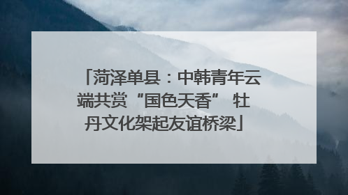 菏泽单县：中韩青年云端共赏“国色天香” 牡丹文化架起友谊桥梁