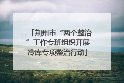 荆州市“两个整治”工作专班组织开展冷库专项整治行动
