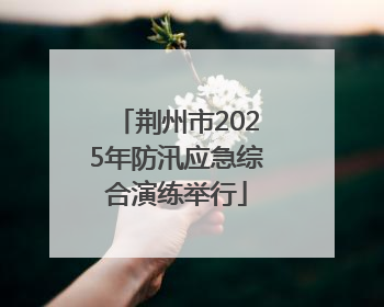 荆州市2025年防汛应急综合演练举行