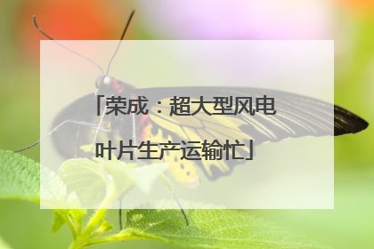 荣成：超大型风电叶片生产运输忙