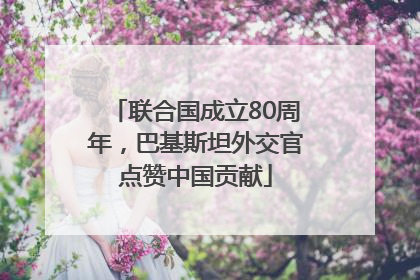 联合国成立80周年，巴基斯坦外交官点赞中国贡献