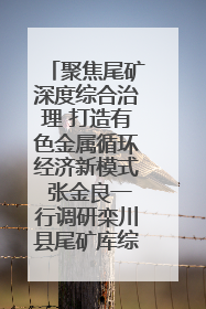 聚焦尾矿深度综合治理 打造有色金属循环经济新模式 张金良一行调研栾川县尾矿库综合治理工作