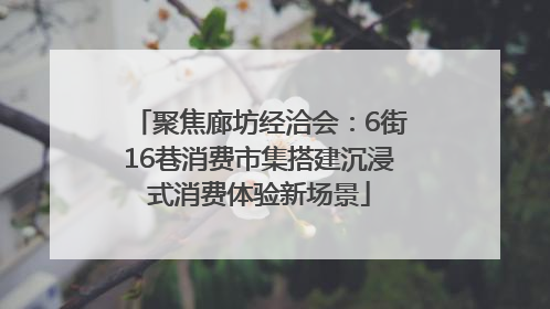 聚焦廊坊经洽会：6街16巷消费市集搭建沉浸式消费体验新场景