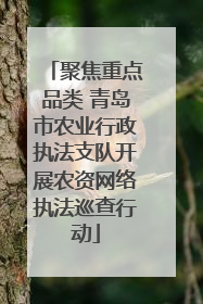聚焦重点品类 青岛市农业行政执法支队开展农资网络执法巡查行动
