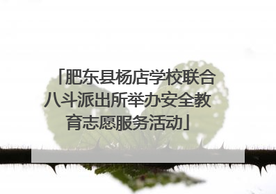 肥东县杨店学校联合八斗派出所举办安全教育志愿服务活动