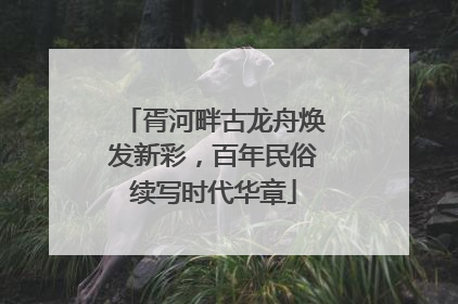 胥河畔古龙舟焕发新彩，百年民俗续写时代华章