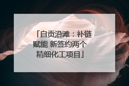 自贡沿滩：补链赋能 新签约两个精细化工项目