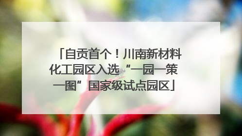 自贡首个！川南新材料化工园区入选“一园一策一图”国家级试点园区