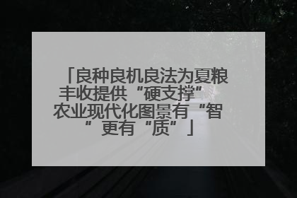 良种良机良法为夏粮丰收提供“硬支撑” 农业现代化图景有“智”更有“质”