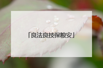 良法良技保粮安