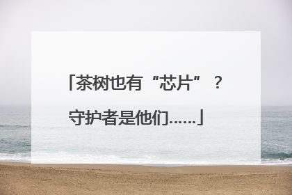 茶树也有“芯片”？守护者是他们……