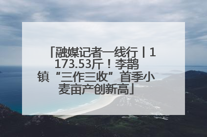 融媒记者一线行丨1173.53斤！李鹊镇“三作三收”首季小麦亩产创新高