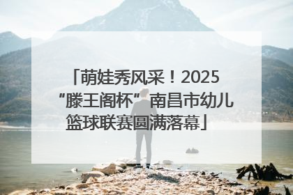萌娃秀风采！2025“滕王阁杯”南昌市幼儿篮球联赛圆满落幕