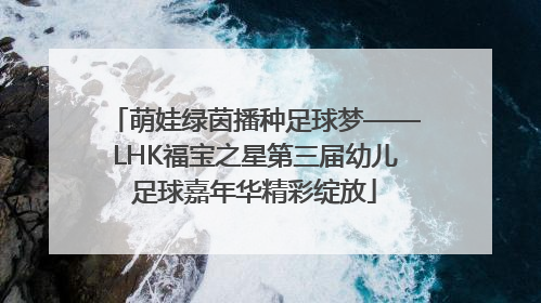 萌娃绿茵播种足球梦——LHK福宝之星第三届幼儿足球嘉年华精彩绽放