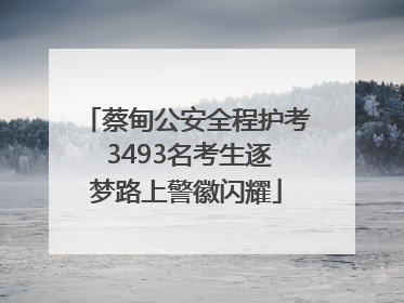 蔡甸公安全程护考 3493名考生逐梦路上警徽闪耀