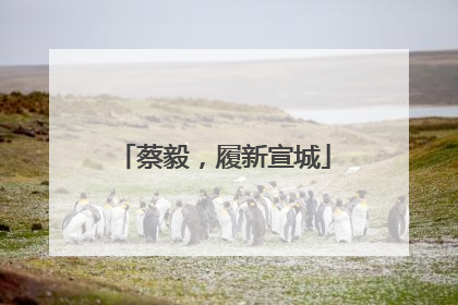 蔡毅，履新宣城