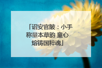 诏安官陂：小手称量本草韵 童心熔铸国粹魂