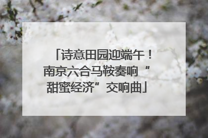 诗意田园迎端午！南京六合马鞍奏响“甜蜜经济”交响曲