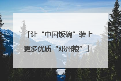让“中国饭碗”装上更多优质“邓州粮”