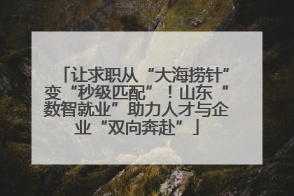 让求职从“大海捞针”变“秒级匹配”！山东“数智就业”助力人才与企业“双向奔赴”