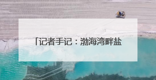 记者手记：渤海湾畔盐碱滩变身“新粮仓”