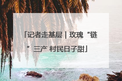 记者走基层｜玫瑰“链”三产 村民日子甜