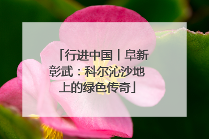 行进中国丨阜新彰武：科尔沁沙地上的绿色传奇