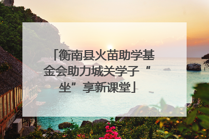 衡南县火苗助学基金会助力城关学子“坐”享新课堂