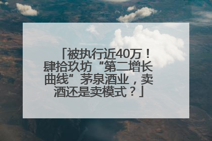 被执行近40万！肆拾玖坊“第二增长曲线”茅泉酒业，卖酒还是卖模式？