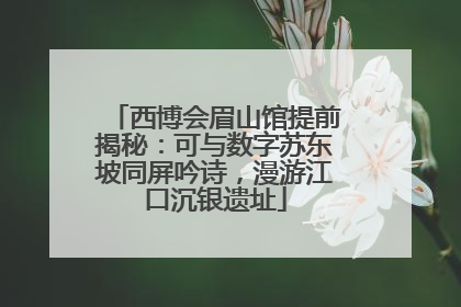 西博会眉山馆提前揭秘：可与数字苏东坡同屏吟诗，漫游江口沉银遗址