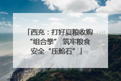 西充：打好夏粮收购“组合拳” 筑牢粮食安全“压舱石”