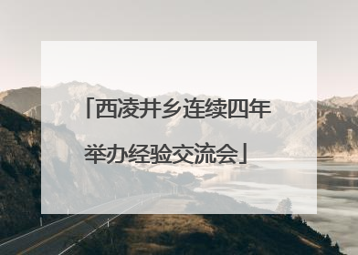 西凌井乡连续四年举办经验交流会