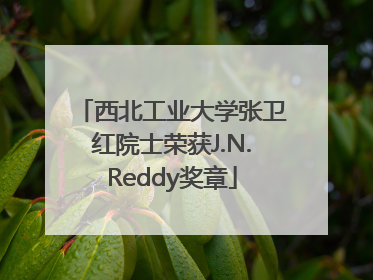 西北工业大学张卫红院士荣获J.N.Reddy奖章