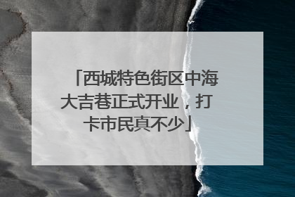 西城特色街区中海大吉巷正式开业，打卡市民真不少