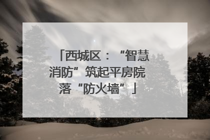西城区：“智慧消防”筑起平房院落“防火墙”
