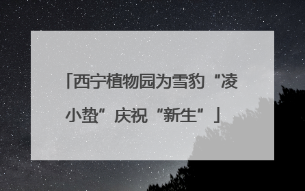 西宁植物园为雪豹“凌小蛰”庆祝“新生”