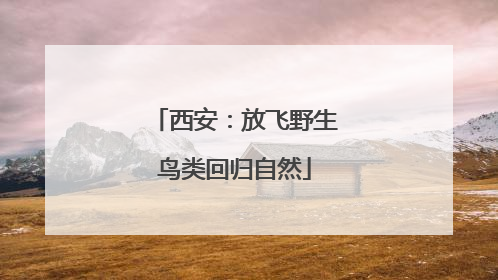 西安：放飞野生鸟类回归自然