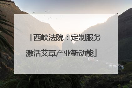 西峡法院：定制服务激活艾草产业新动能