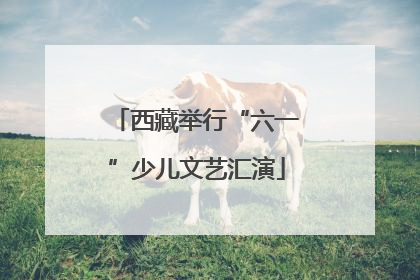 西藏举行“六一”少儿文艺汇演