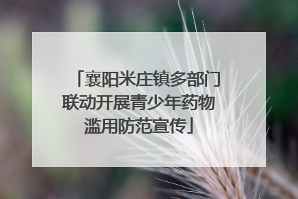 襄阳米庄镇多部门联动开展青少年药物滥用防范宣传