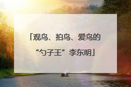 观鸟、拍鸟、爱鸟的“勺子王”李东明