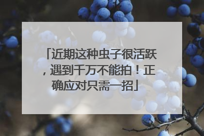 近期这种虫子很活跃，遇到千万不能拍！正确应对只需一招