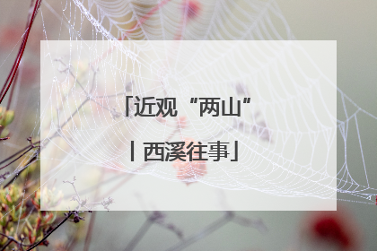 近观“两山”丨西溪往事