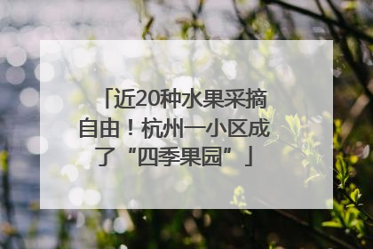 近20种水果采摘自由！杭州一小区成了“四季果园”